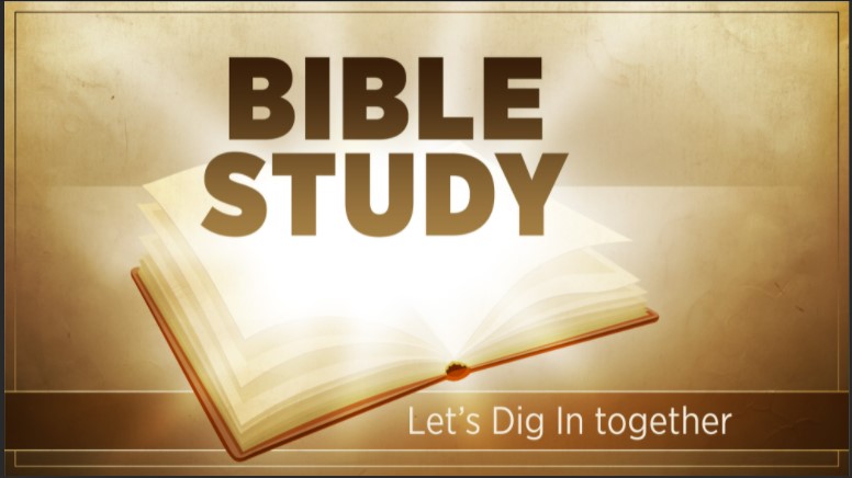 Bible Study Image