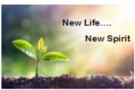 Screenshot 2023 03 28 083907